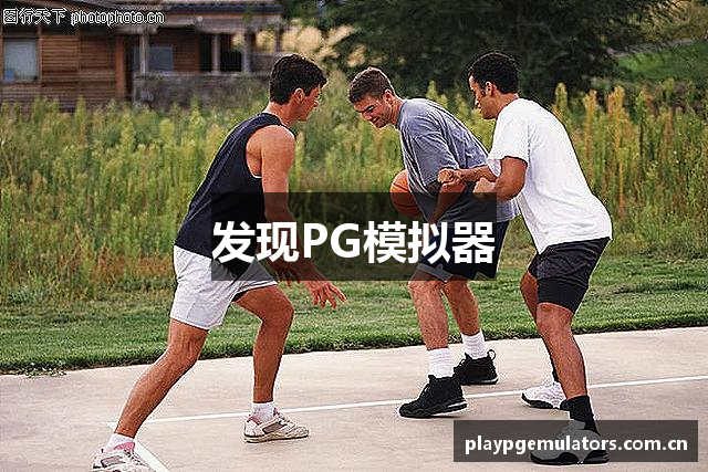 发现PG模拟器